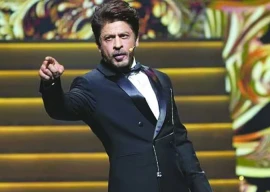 king is here to stay