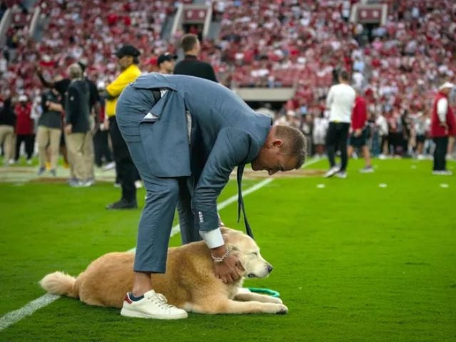 kirk herbstreit shares plea for prayers as dog ben battles cancer complications kirk herbstreit shares plea for prayers as dog ben battles cancer complications