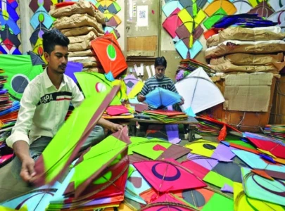 kite association seeks enforcement of lhc orders kite association seeks enforcement of lhc orders