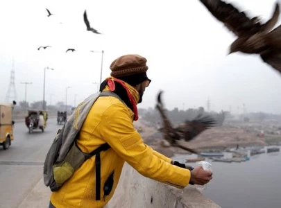 pakistanis feed predatory birds despite crackdown on practice