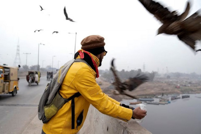 pakistanis feed predatory birds despite crackdown on practice pakistanis feed predatory birds despite crackdown on practice