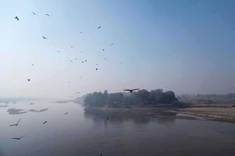 Kite birds fly above River Ravi in Lahore, Pakistan December 19, 2023. PHOTO: REUTERS
