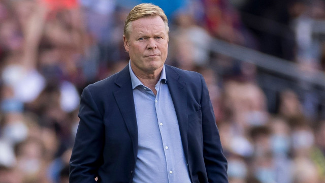 koeman to take over as netherlands coach after world cup koeman to take over as netherlands coach after world cup