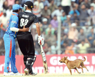 kohli century sets up indian victory kohli century sets up indian victory