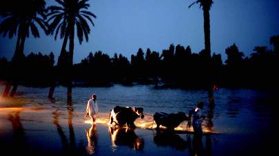 doctor rescued in clinical operation