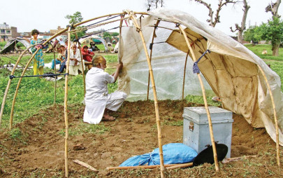 300 hospitalised in taunsa from relief food