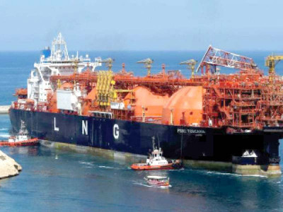 lng import delay irks senate panel