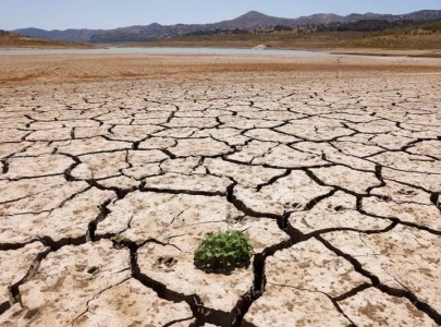 un warns of climate hell as world experiences streak of record high temperatures un warns of climate hell as world experiences streak of record high temperatures