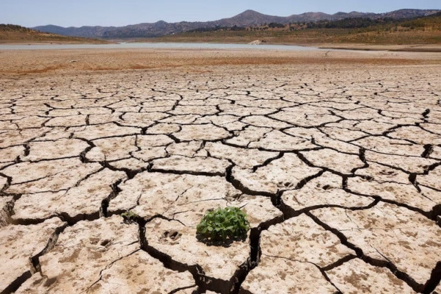 a plant sprouts between the cracked ground of la vinuela reservoir during a severe drought in la vinuela spain august 8 2022 photo reuters a plant sprouts between the cracked ground of la vinuela reservoir during a severe drought in la vinuela spain august 8 2022 photo reuters