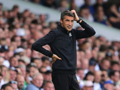 struggling wolves sack lage