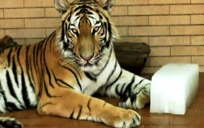 marghzar zoo to be closed