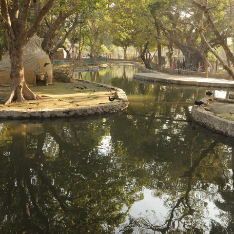 photo lahore zoo photo lahore zoo