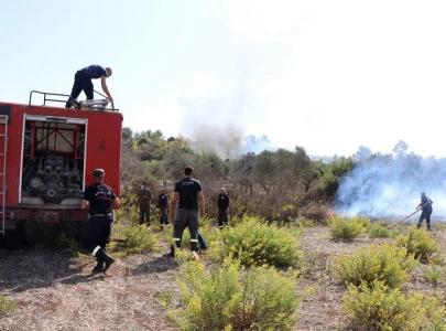 wildfires erupt in south lebanon as israel hezbollah border clashes escalate