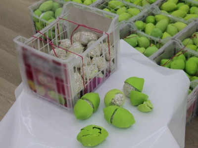 dubai police arrest lemon drug smugglers dubai police arrest lemon drug smugglers