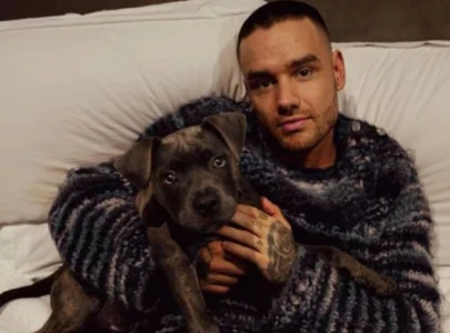 liam payne s netflix show building the band delayed following his passing liam payne s netflix show building the band delayed following his passing