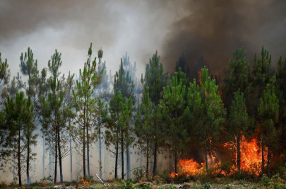 wildfires burn farmers struggle as another heatwave bakes western europe wildfires burn farmers struggle as another heatwave bakes western europe