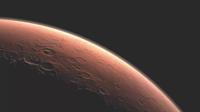 ecologists plan to build a forest on mars after new research ecologists plan to build a forest on mars after new research