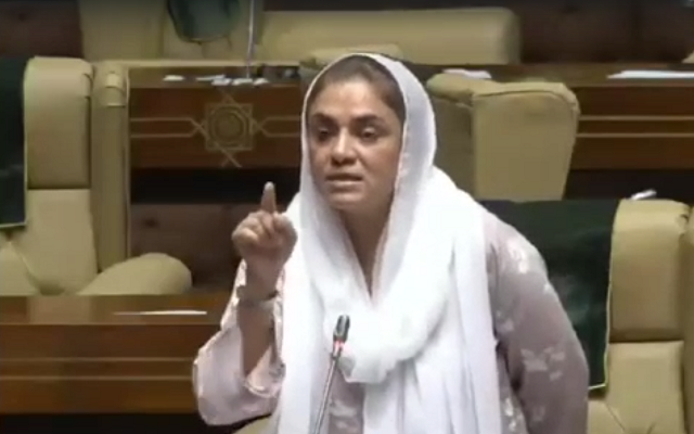 pti mpa rabia azfar nizami addresses sindh assembly session on wednesday screengrab