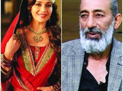 how adnan shah tipu almost shared the screen with madhuri