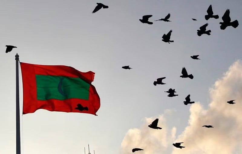 a maldives national flag flutters as pigeons fly past during the morning in male february 8 2012 photo reuters