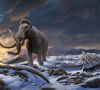 genome study intensifies mystery of what led to extinction of mammoths genome study intensifies mystery of what led to extinction of mammoths