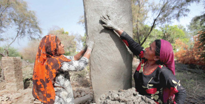 manchar lake s polluted water needs to be diluted