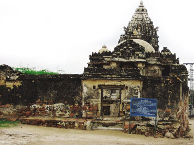 gori jo mandar desert rose