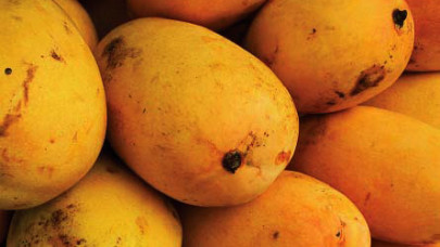 mango export target may be missed
