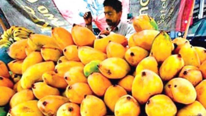 pakistani mangoes fetch better prices pakistani mangoes fetch better prices