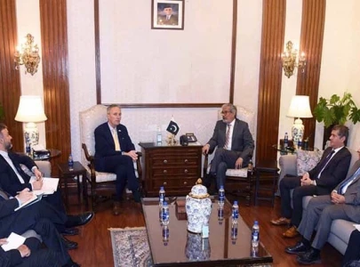 wb vice president visits tarbel dasu projects