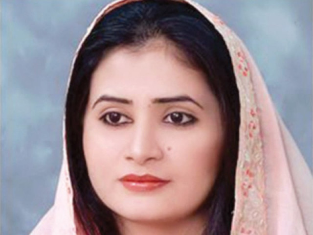 sindh assembly marvi rashdi s 15 minutes of de fame sindh assembly marvi rashdi s 15 minutes of de fame