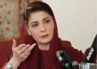 pml n chief organiser maryam nawaz screengrab pml n chief organiser maryam nawaz screengrab