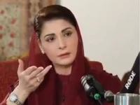 pml n chief organiser maryam nawaz screengrab