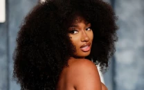 megan thee stallion earns praise after rescuing dog from kill shelter ahead of euthanasia deadline megan thee stallion earns praise after rescuing dog from kill shelter ahead of euthanasia deadline