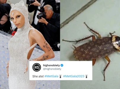 from doja cat to a cockroach the best memes from the 2023 met gala from doja cat to a cockroach the best memes from the 2023 met gala