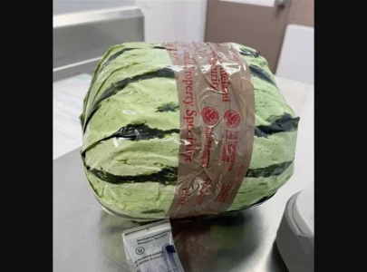 5m meth haul found disguised as watermelons in us
