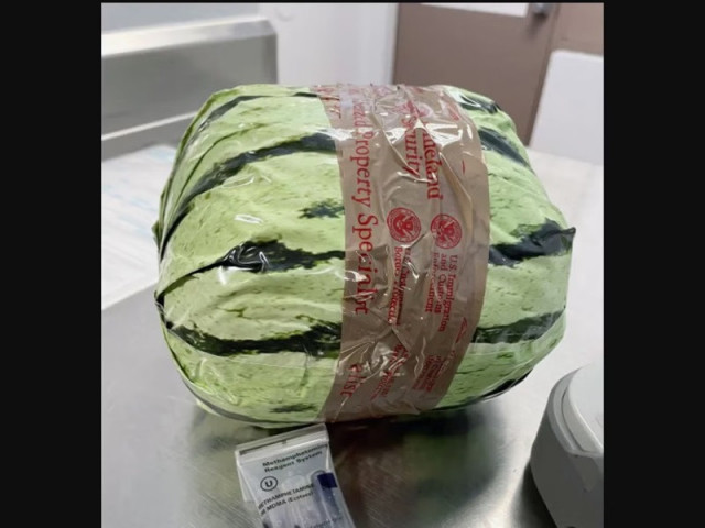 5m meth haul found disguised as watermelons in us