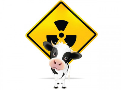 sacrificial animals pose threat of congo virus sacrificial animals pose threat of congo virus