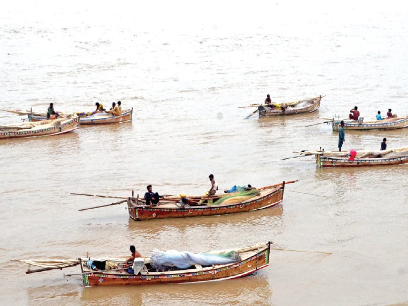 fishermen cast their nets from boats downstream at kotri barrage on sunday rains upcountry have increased the flow of water in indus river at the tail end areas photo inp