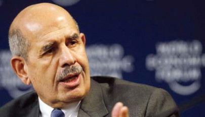 post mubarak egypt el baradei hackled at vote for constitutional reform