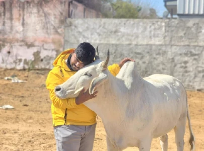 indian police arrest cow vigilante after religious riots indian police arrest cow vigilante after religious riots