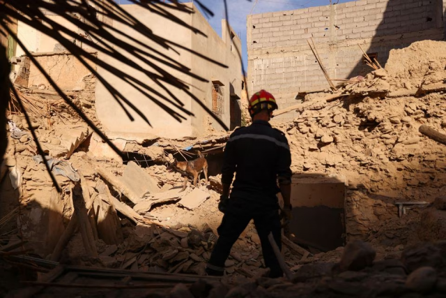 an emergency worker and a dog search for bodies in the rubble in the aftermath of a deadly earthquake in amizmiz morocco september 10 photo reuters
