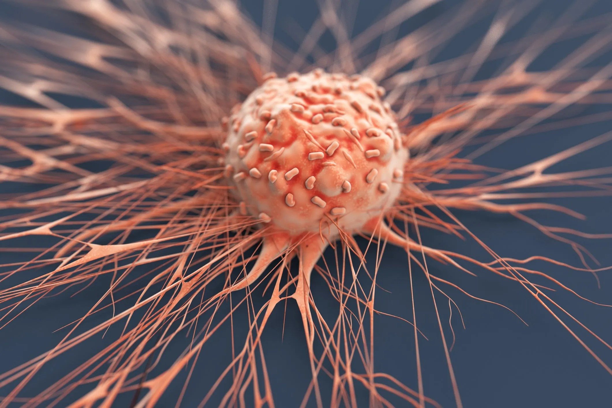 Groundbreaking discovery reverts cancer cells back to normal