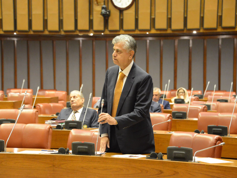 caretaker minister for parliamentary affairs information and broadcasting murtaza solangi addressing the senate on november 27 2023 photo app