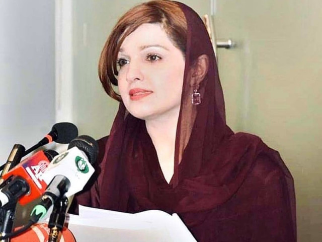 prime minister s special assistant on human rights mushaal hussein mullick photo app prime minister s special assistant on human rights mushaal hussein mullick photo app