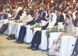 muslim world urged to end education apartheid