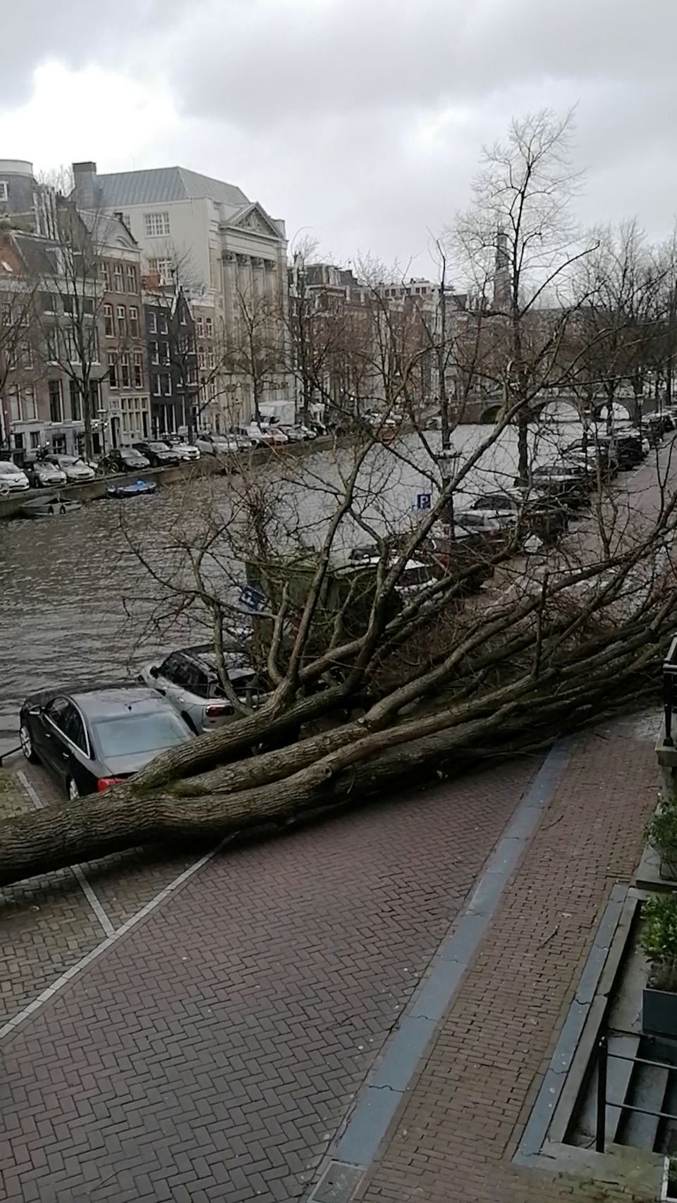 a general view of a fallen tree in the street as storm eunice hits the country in amsterdam netherlands february 18 2022 in this still image obtained from a social media video photo reuters