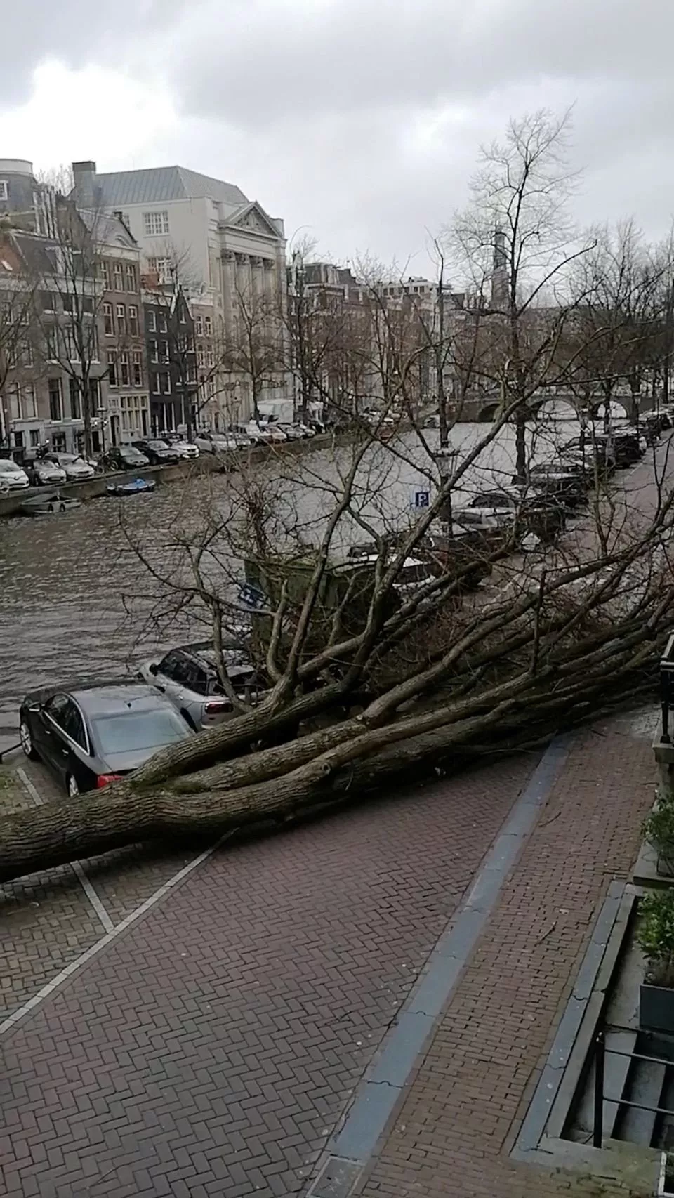 a general view of a fallen tree in the street as storm eunice hits the country in amsterdam netherlands february 18 2022 in this still image obtained from a social media video photo reuters a general view of a fallen tree in the street as storm eunice hits the country in amsterdam netherlands february 18 2022 in this still image obtained from a social media video photo reuters