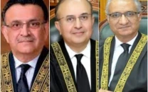 nab law ruling to cap high stakes case