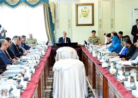 govt to call apc on azm e istehkam